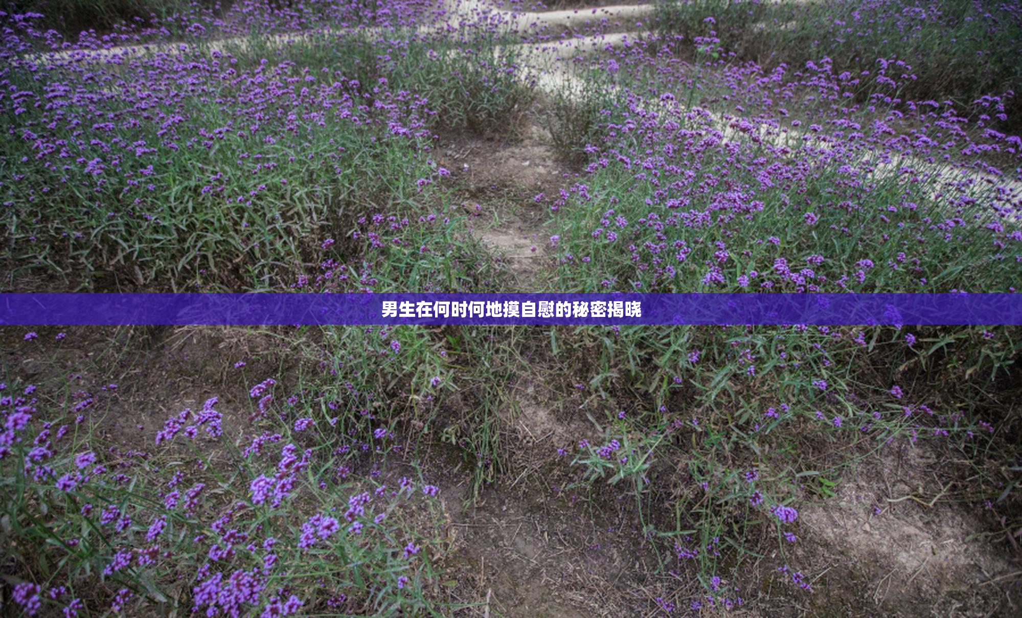 男生在何时何地摸自慰的秘密揭晓