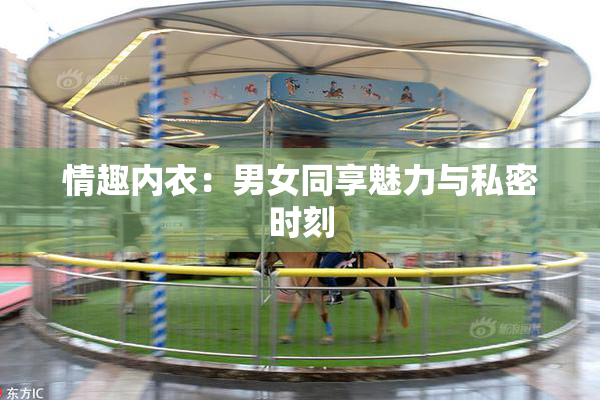 情趣内衣：男女同享魅力与私密时刻