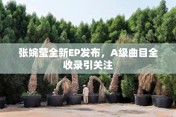 张婉莹全新EP发布，A级曲目全收录引关注