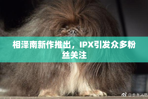 相泽南新作推出，IPX引发众多粉丝关注