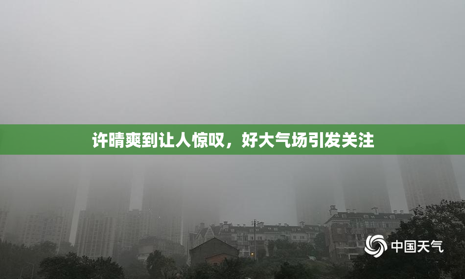 许晴爽到让人惊叹，好大气场引发关注