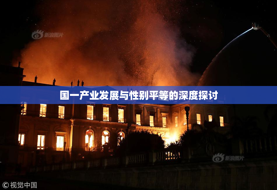国一产业发展与性别平等的深度探讨