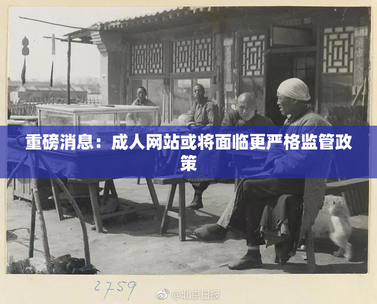 重磅消息：成人网站或将面临更严格监管政策