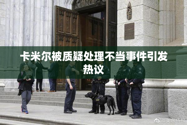 卡米尔被质疑处理不当事件引发热议
