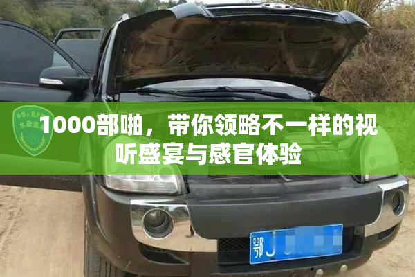 1000部啪，带你领略不一样的视听盛宴与感官体验