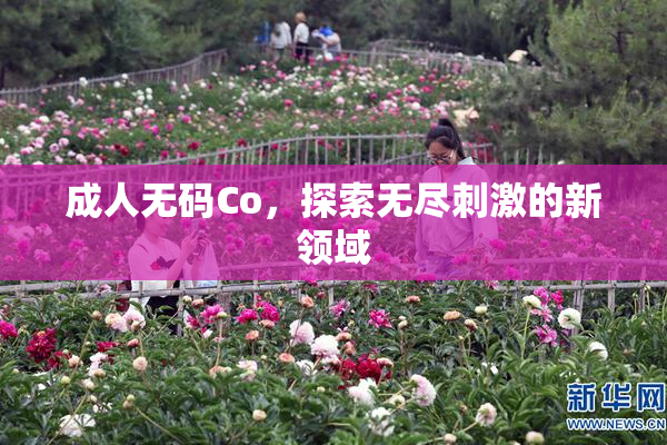成人无码Co，探索无尽刺激的新领域