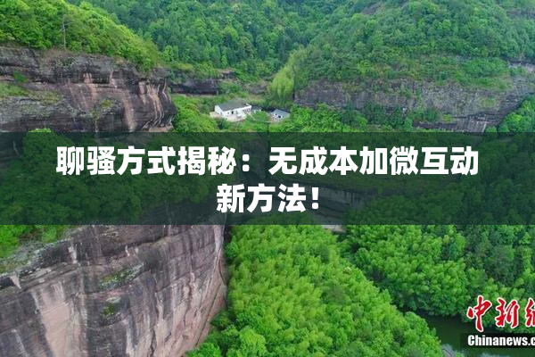 聊骚方式揭秘：无成本加微互动新方法！