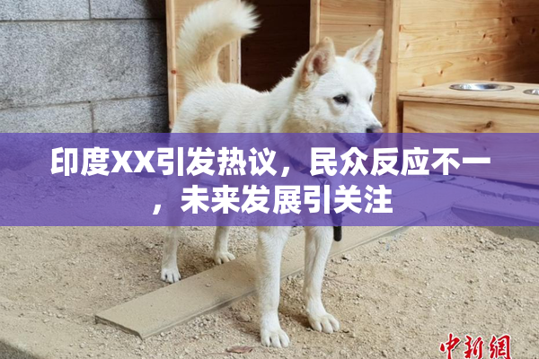 印度XX引发热议，民众反应不一，未来发展引关注
