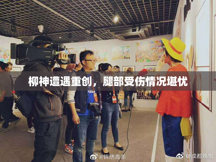 柳神遭遇重创，腿部受伤情况堪忧