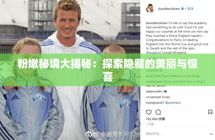 粉嫩秘境大揭秘：探索隐藏的美丽与惊喜