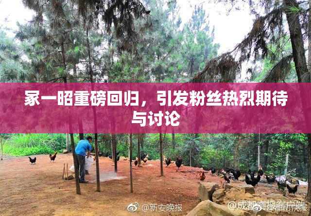 冢一昭重磅回归，引发粉丝热烈期待与讨论
