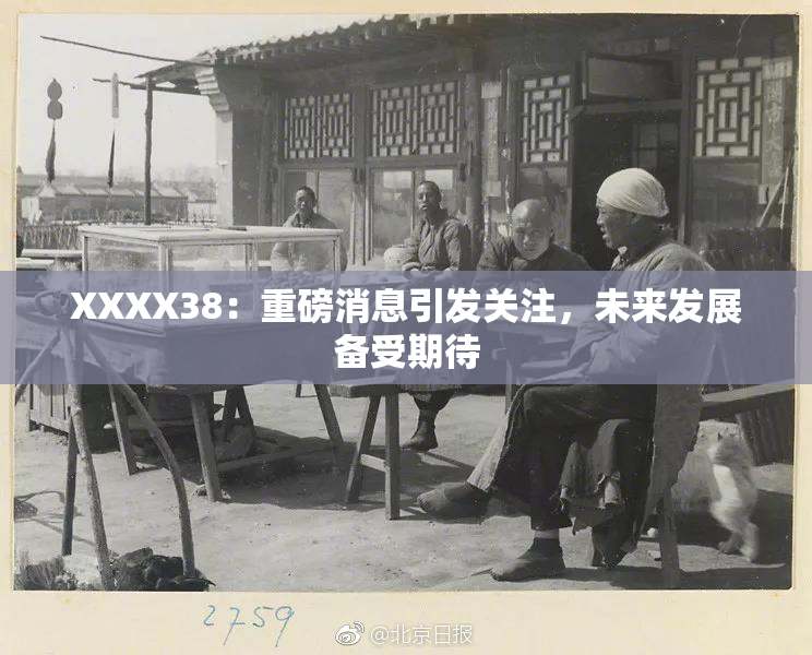 XXXX38：重磅消息引发关注，未来发展备受期待