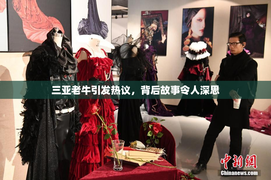 三亚老牛引发热议，背后故事令人深思