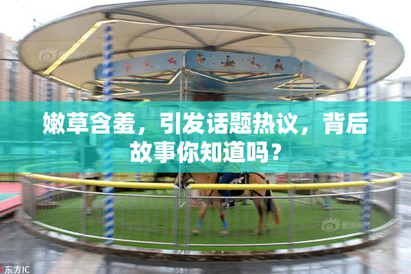 嫩草含羞，引发话题热议，背后故事你知道吗？