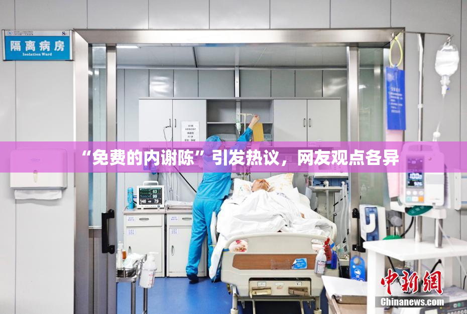 “免费的内谢陈”引发热议，网友观点各异