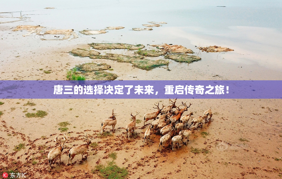 唐三的选择决定了未来，重启传奇之旅！