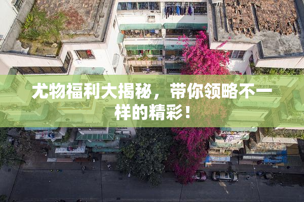 尤物福利大揭秘，带你领略不一样的精彩！