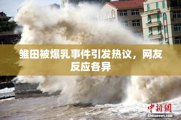 雏田被爆乳事件引发热议，网友反应各异