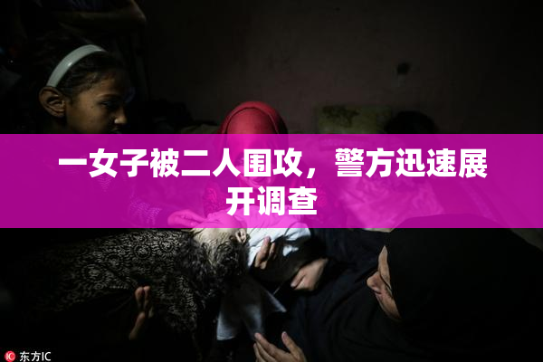 一女子被二人围攻，警方迅速展开调查