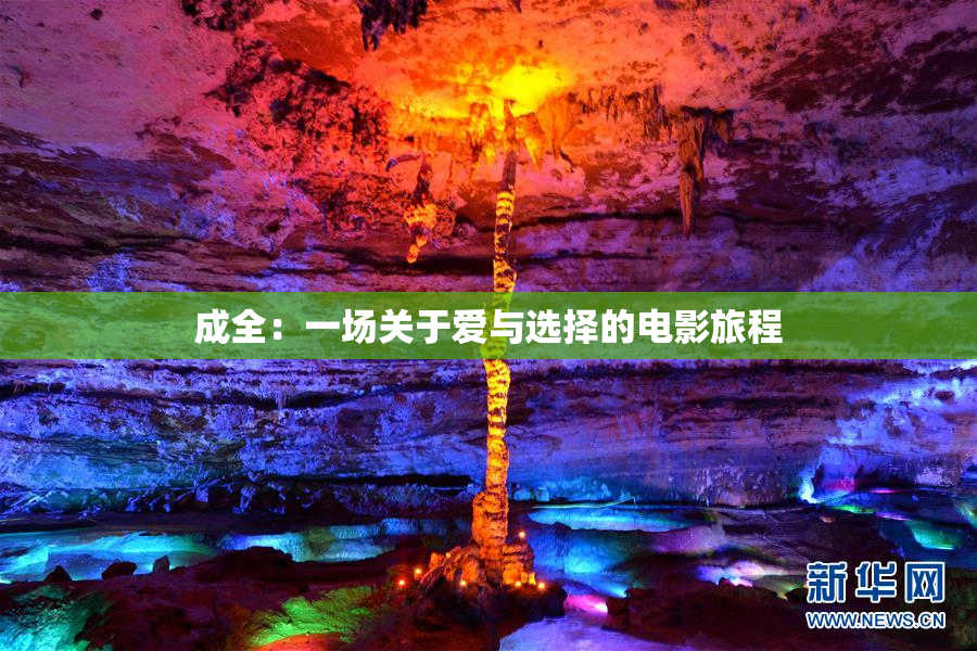 成全：一场关于爱与选择的电影旅程