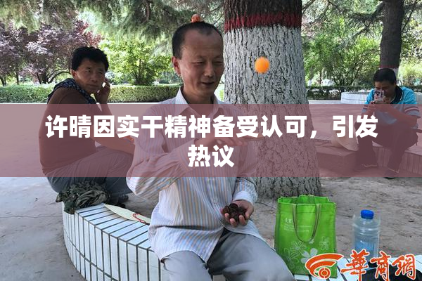 许晴因实干精神备受认可，引发热议