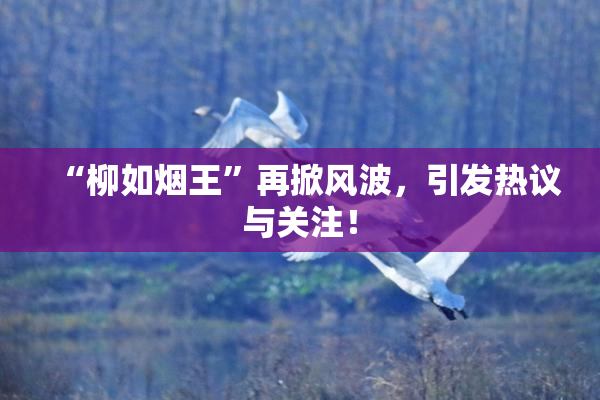 “柳如烟王”再掀风波，引发热议与关注！