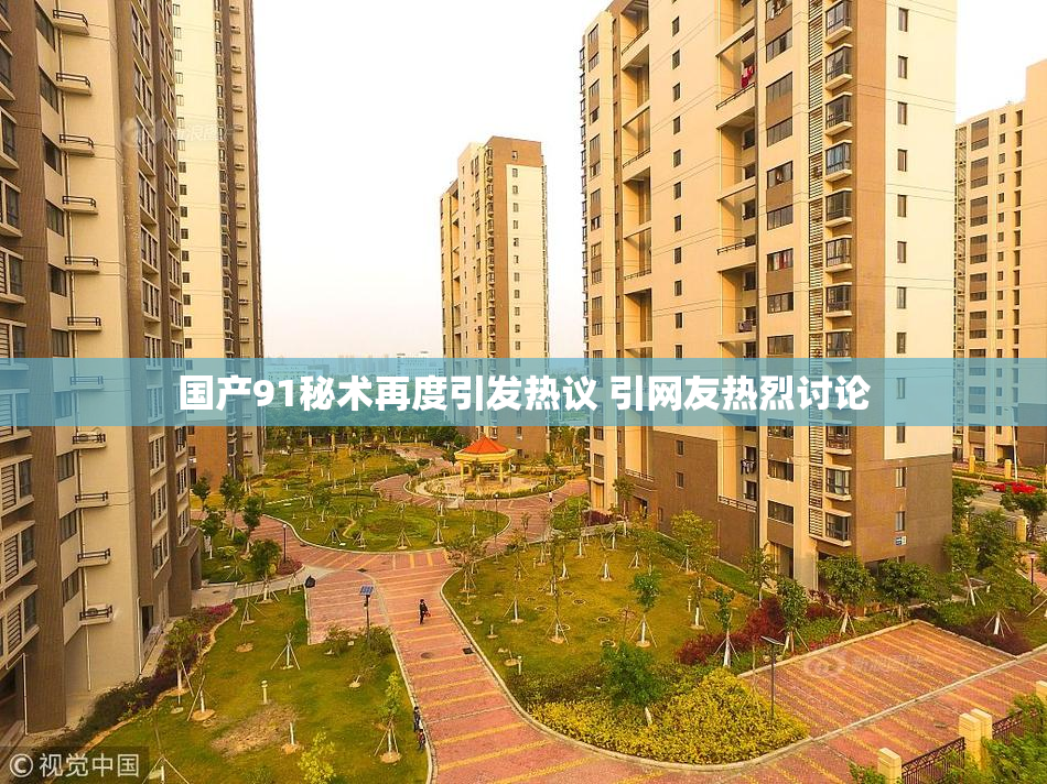 国产91秘术再度引发热议 引网友热烈讨论