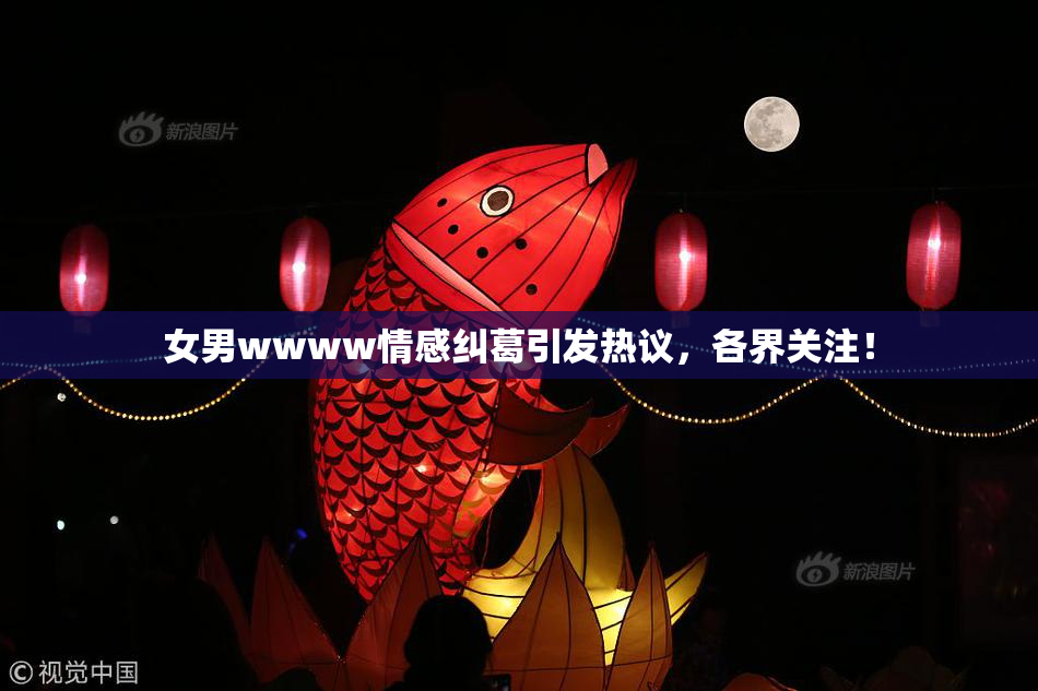 女男wwww情感纠葛引发热议，各界关注！