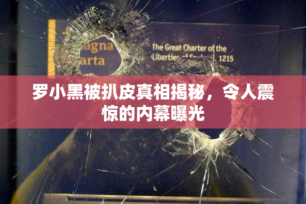 罗小黑被扒皮真相揭秘，令人震惊的内幕曝光