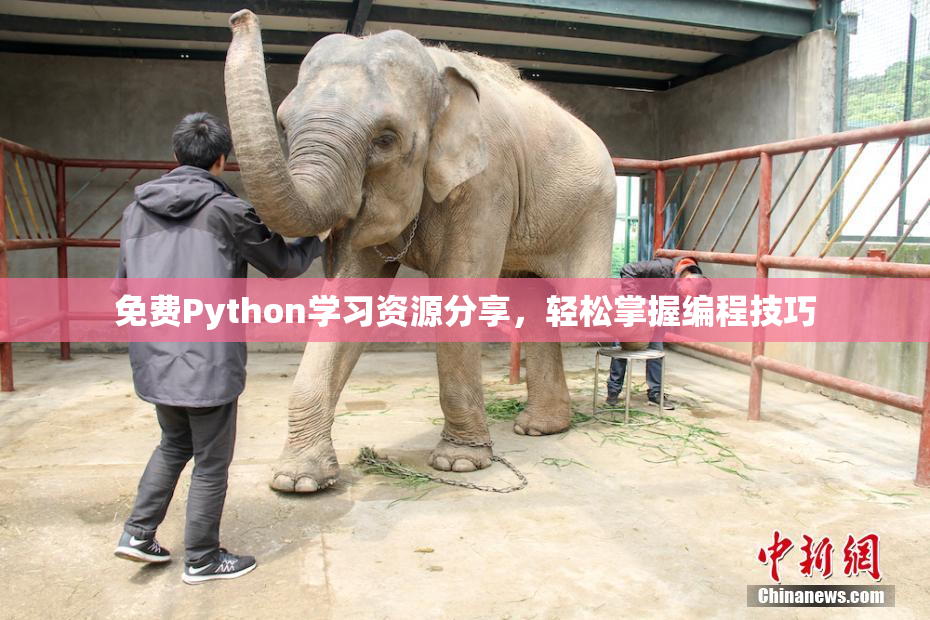 免费Python学习资源分享，轻松掌握编程技巧