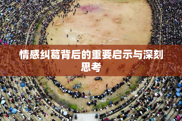 情感纠葛背后的重要启示与深刻思考