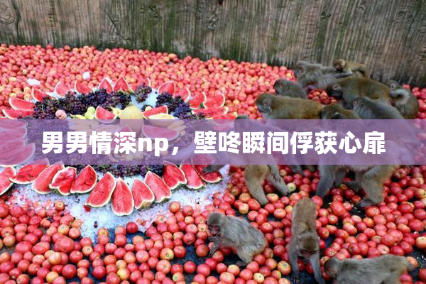 男男情深np，壁咚瞬间俘获心扉