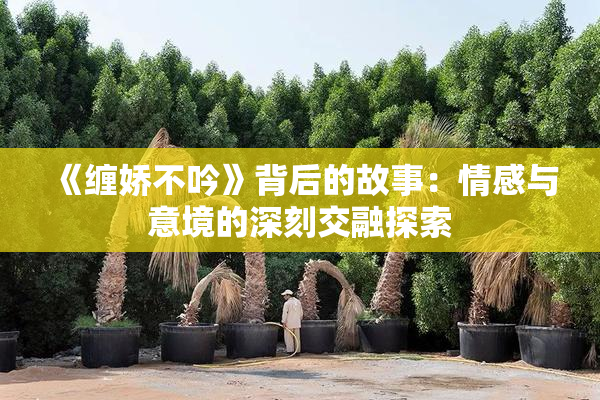 《缠娇不吟》背后的故事：情感与意境的深刻交融探索