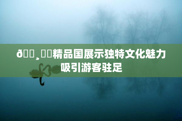🌸‌✿精品国展示独特文化魅力吸引游客驻足