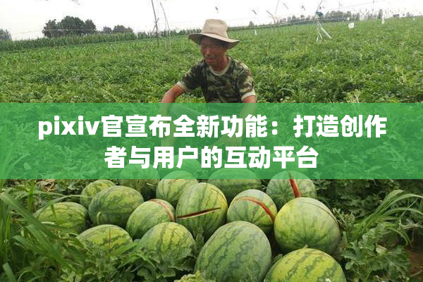 pixiv官宣布全新功能：打造创作者与用户的互动平台