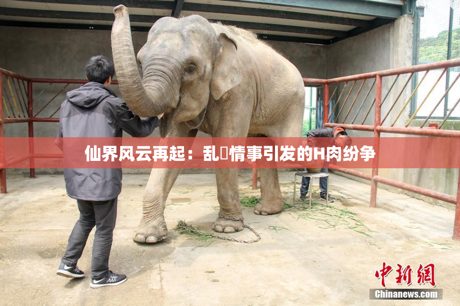 仙界风云再起：乱婬情事引发的H肉纷争
