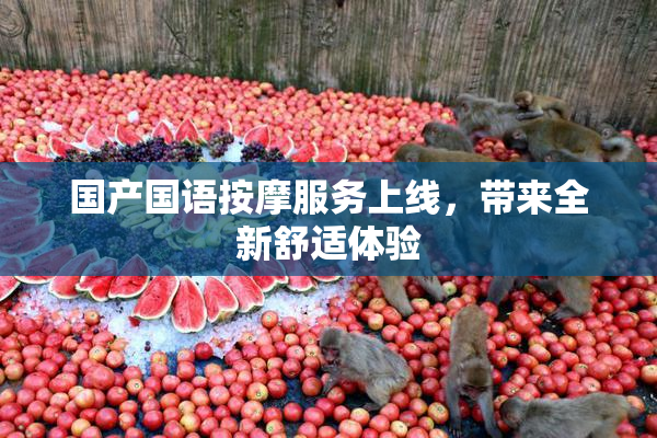 国产国语按摩服务上线，带来全新舒适体验