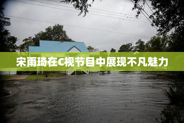 宋雨琦在C视节目中展现不凡魅力
