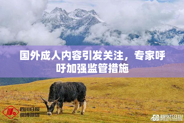国外成人内容引发关注，专家呼吁加强监管措施