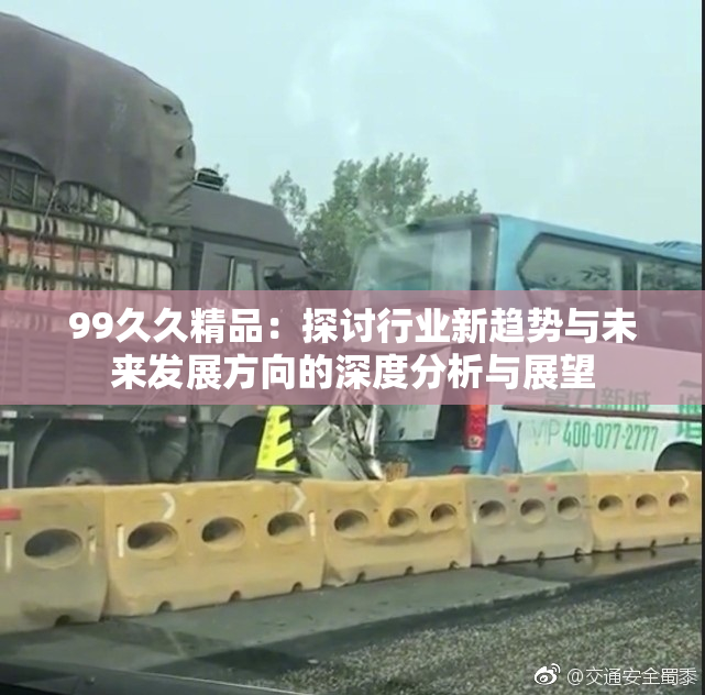 99久久精品：探讨行业新趋势与未来发展方向的深度分析与展望
