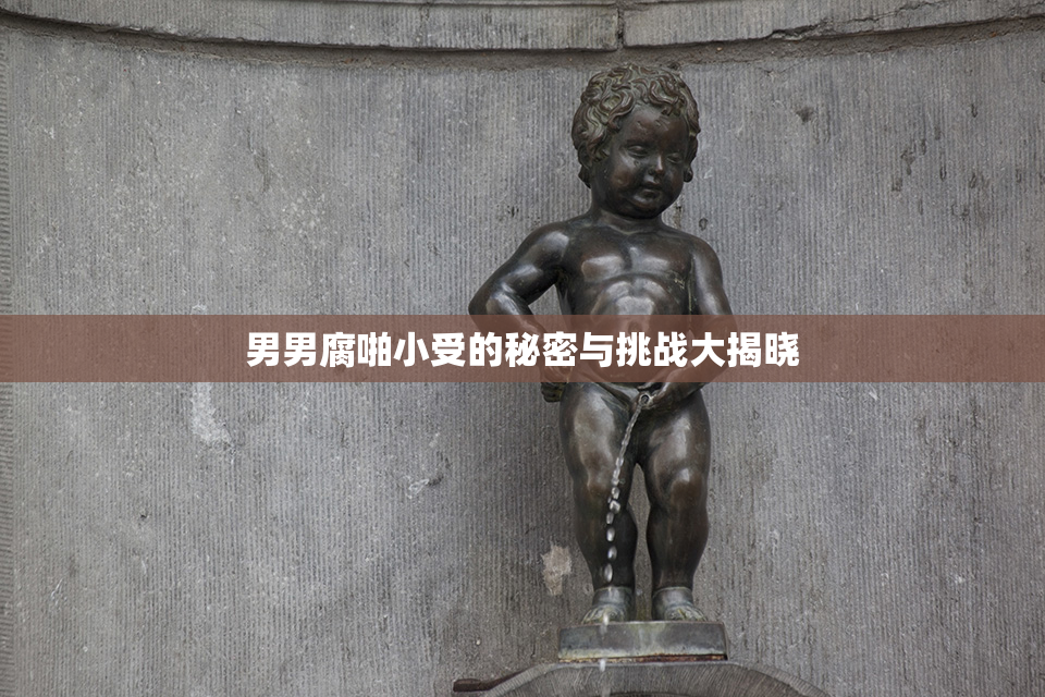 男男腐啪小受的秘密与挑战大揭晓