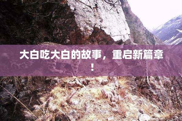 大白吃大白的故事，重启新篇章！