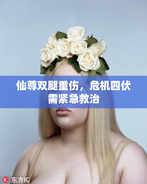 仙尊双腿重伤，危机四伏需紧急救治