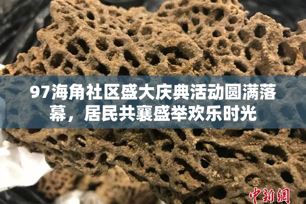 97海角社区盛大庆典活动圆满落幕，居民共襄盛举欢乐时光