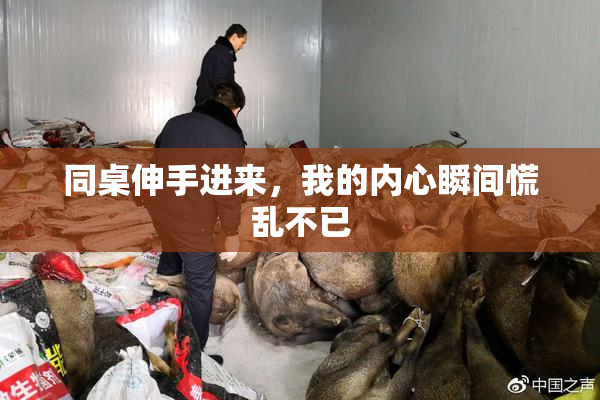 同桌伸手进来，我的内心瞬间慌乱不已