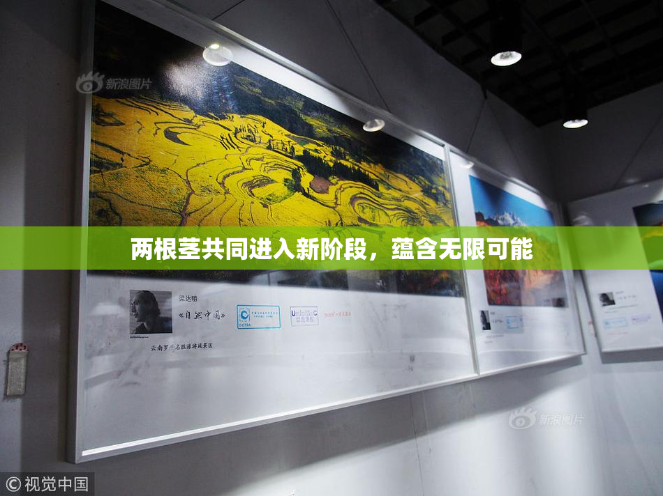 两根茎共同进入新阶段，蕴含无限可能
