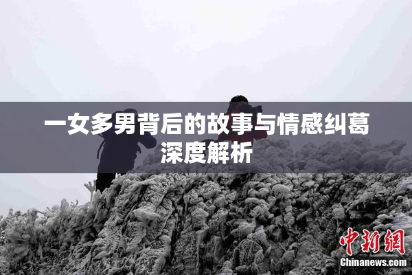 一女多男背后的故事与情感纠葛深度解析