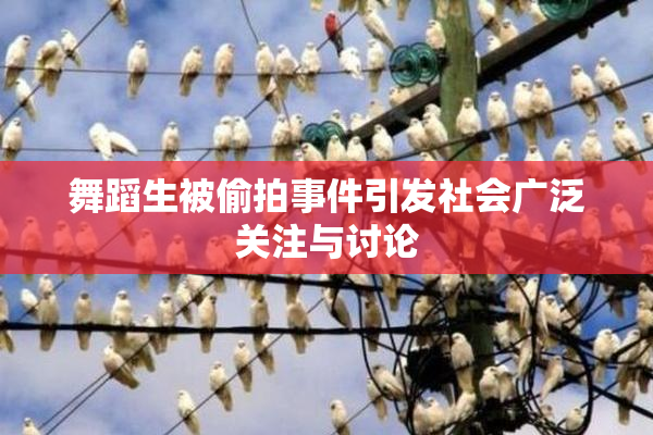 舞蹈生被偷拍事件引发社会广泛关注与讨论