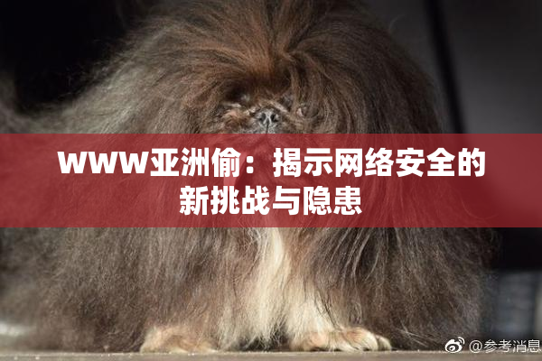 WWW亚洲偷：揭示网络安全的新挑战与隐患