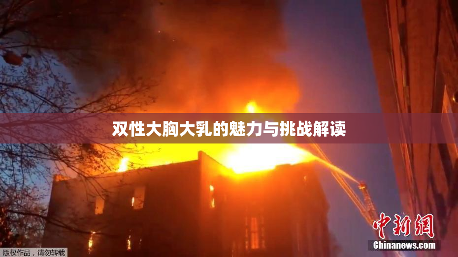 双性大胸大乳的魅力与挑战解读